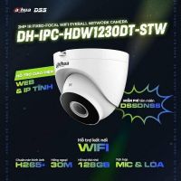 Camera IP wifi Imou ngoài trời F22P